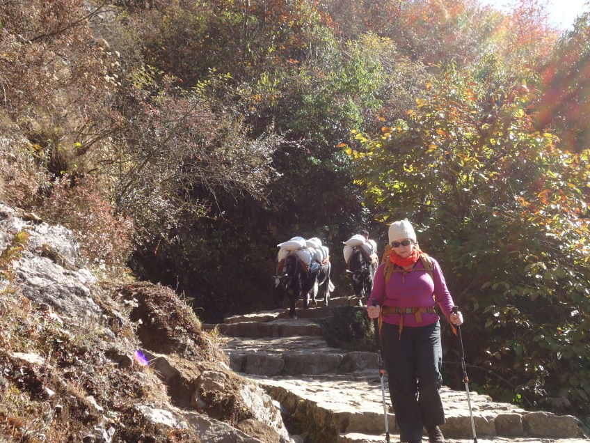 Everest Base Camp Trek
