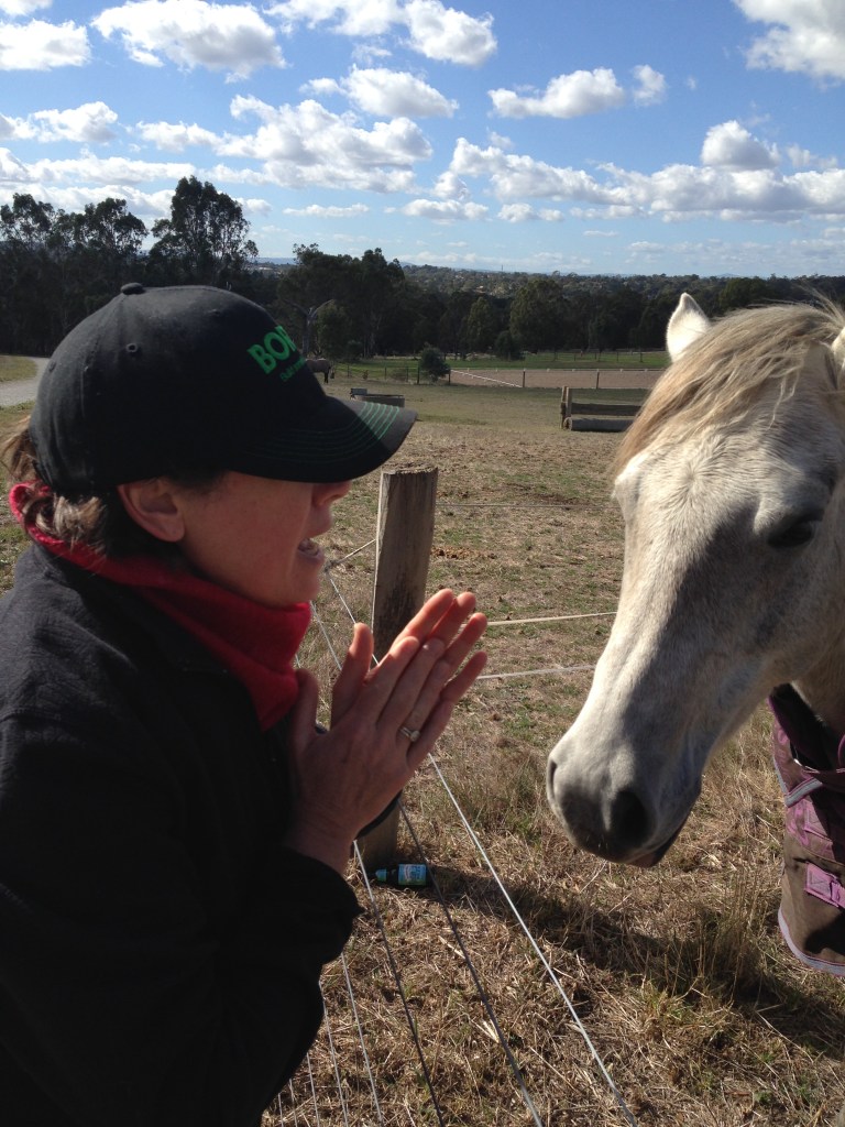 training and fitness