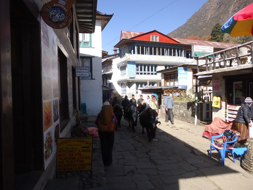 Lukla to Phakding Everest Base Camp Trek