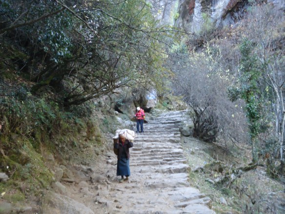 Old lady carrying cabbages