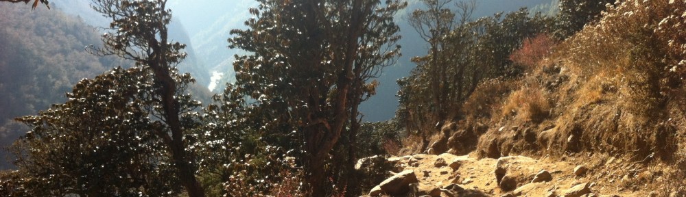 Everest Base Camp trek the trail