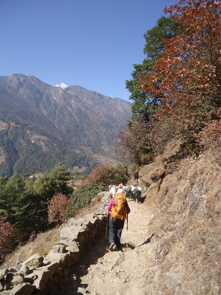 Between Lukla and Phakding