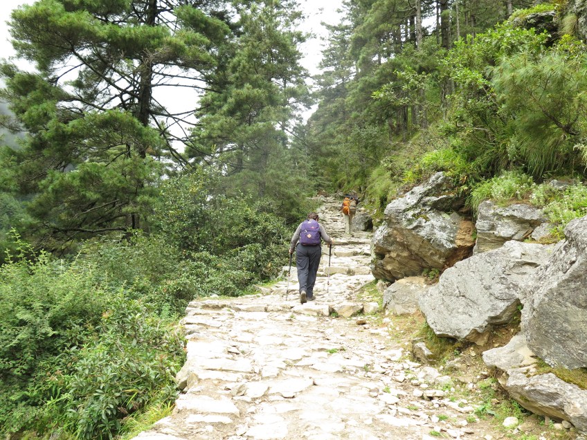 Climb to Namche Bazaar, main trail to Everest Base Camp