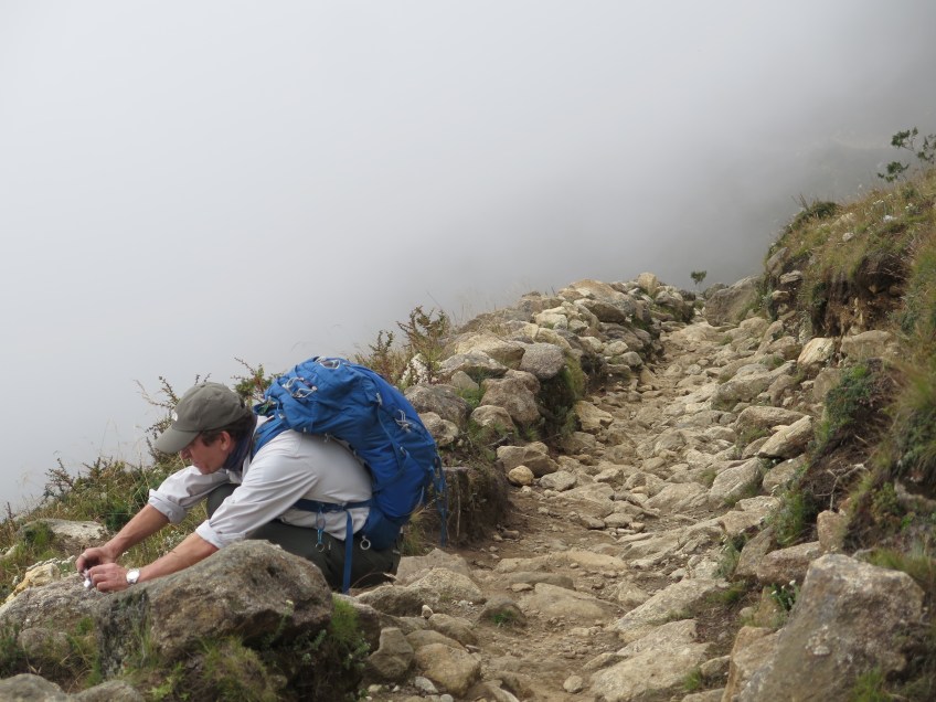 Sam photographing plants on the trail to Portse