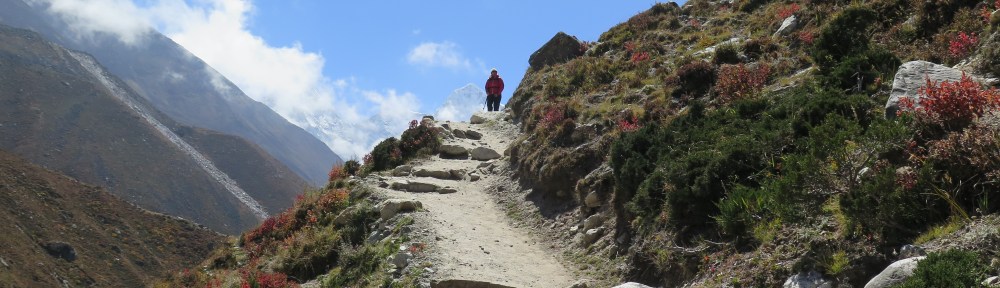 Between Lobuche and Pangboche