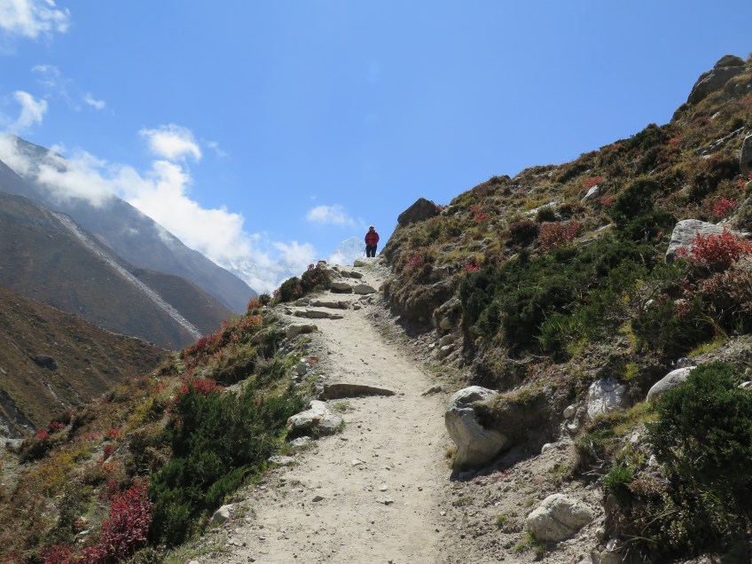 Between Lobuche and Pangboche