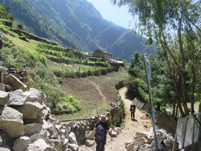 Fields of Vegetables on the Lower Part of the Everest Base Camp Trek Coming into Monjo from Namche Bazaar
