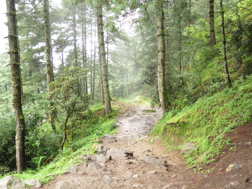 Lower part of the EBC trek Nepal