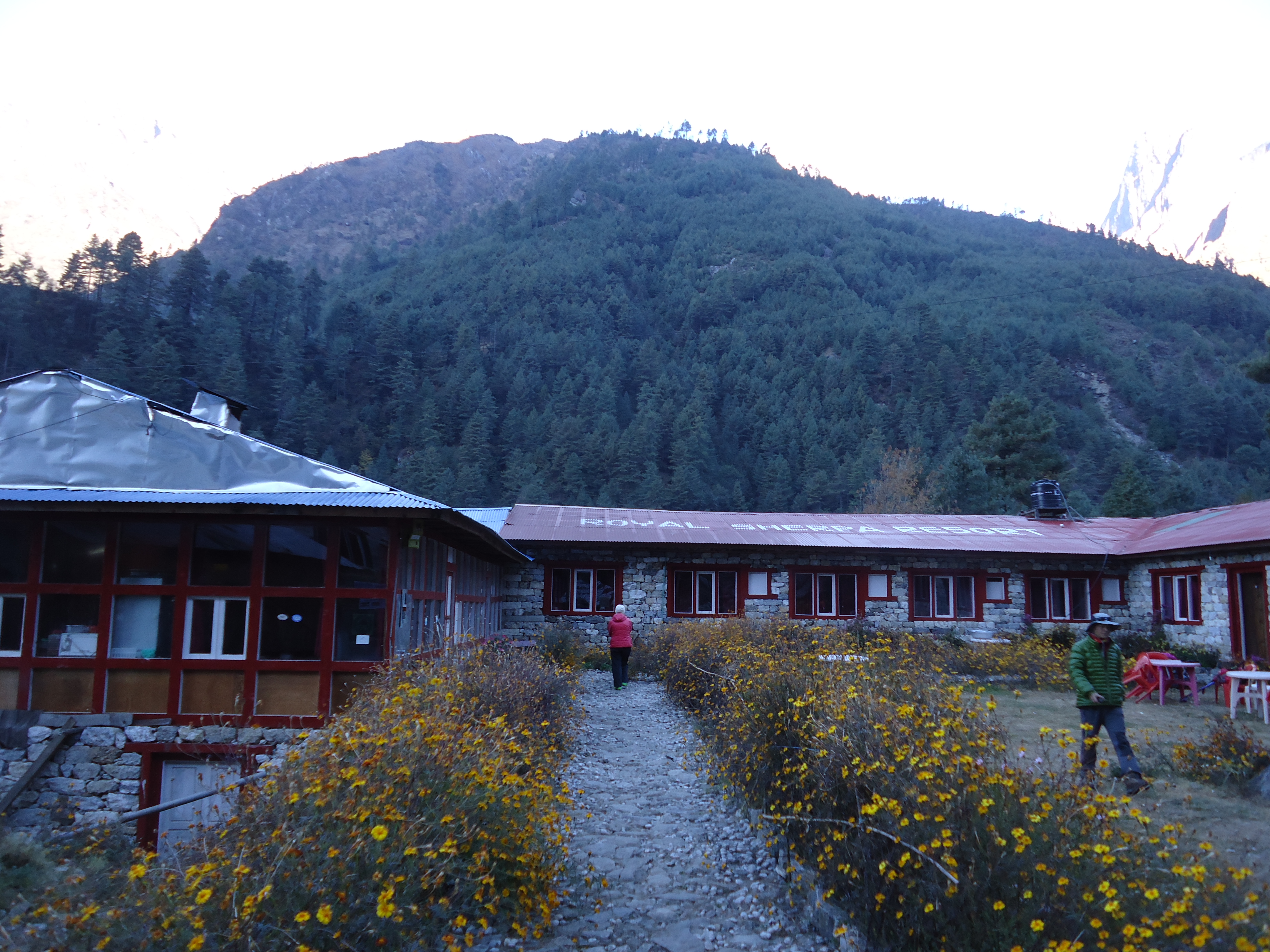 Royal Sherpa Phakding