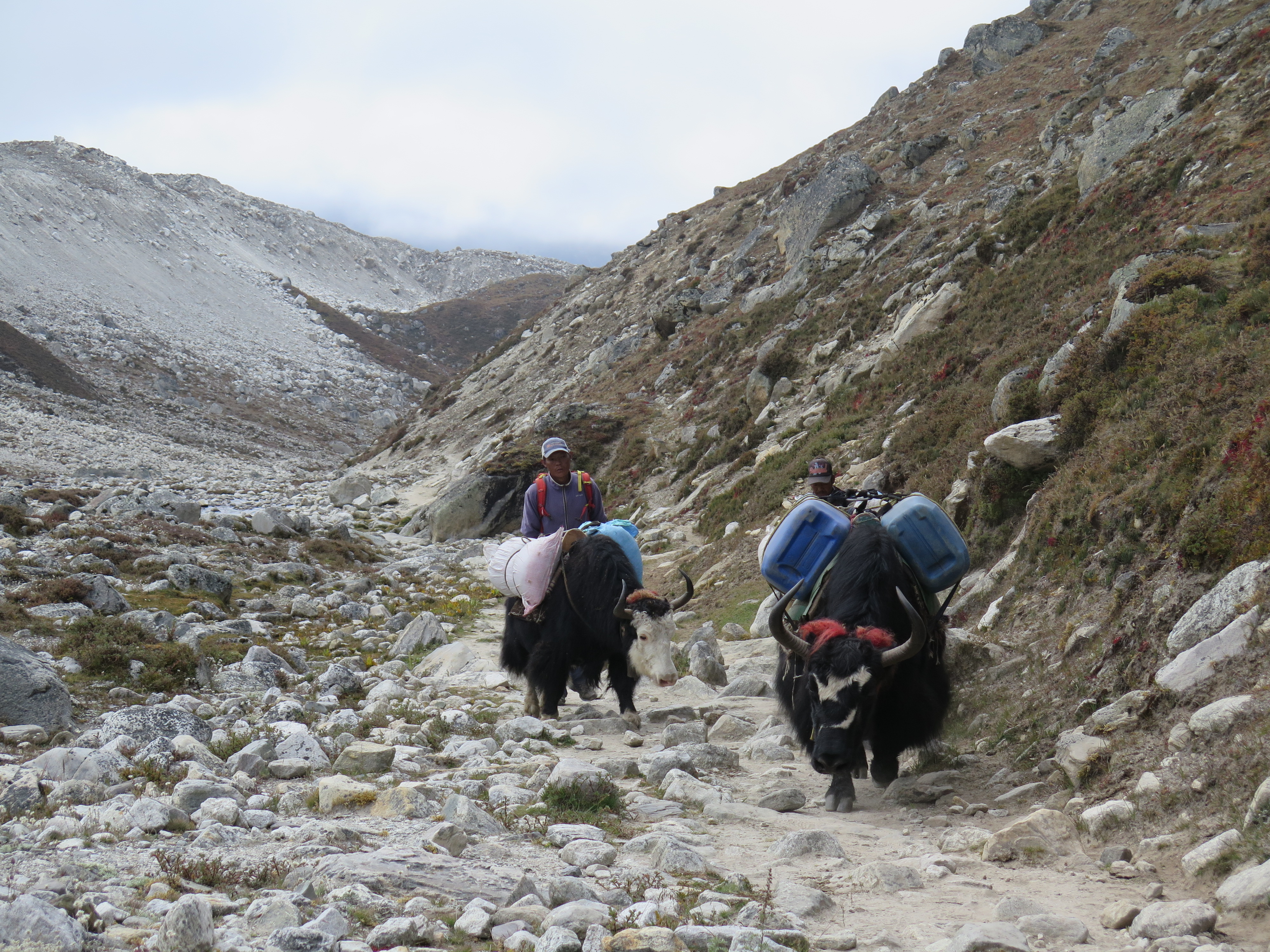 EBC Trek To Gorak Shep