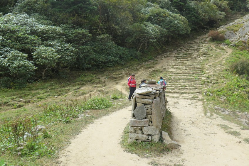 Stairs coming into the town of Khumjung in the Khumbu Nepal