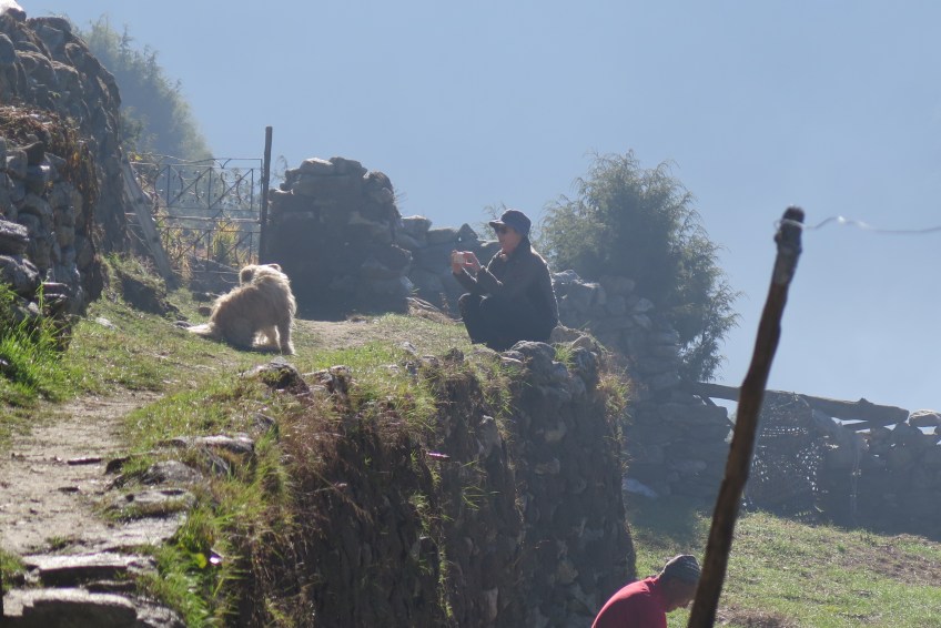 Taking a phot of a lodge dog in Khumjung in late September